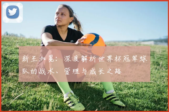新王加冕：深度解析世界杯冠军球队的战术、管理与成长之路