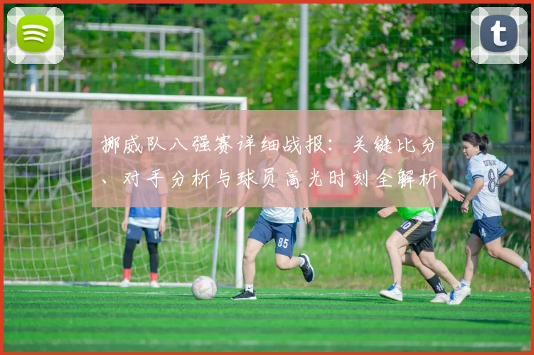 挪威队八强赛详细战报:关键比分、对手分析与球员高光时刻全解析